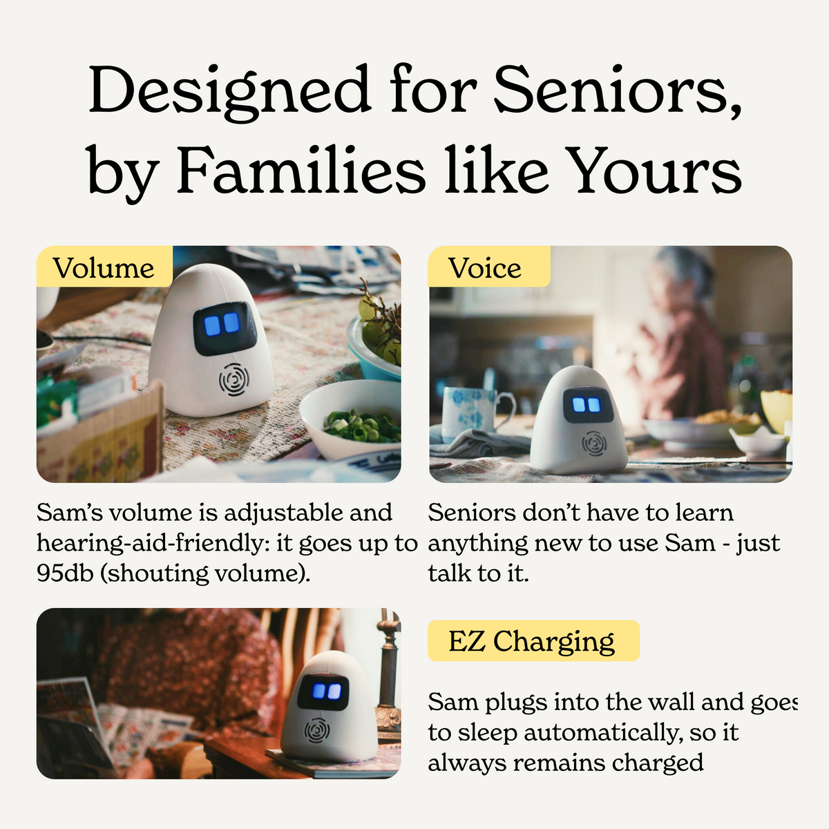 Sam: Senior Smart Assistant